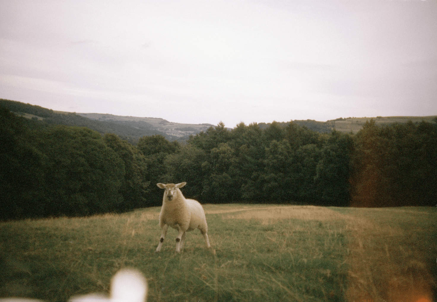 alternate album cover